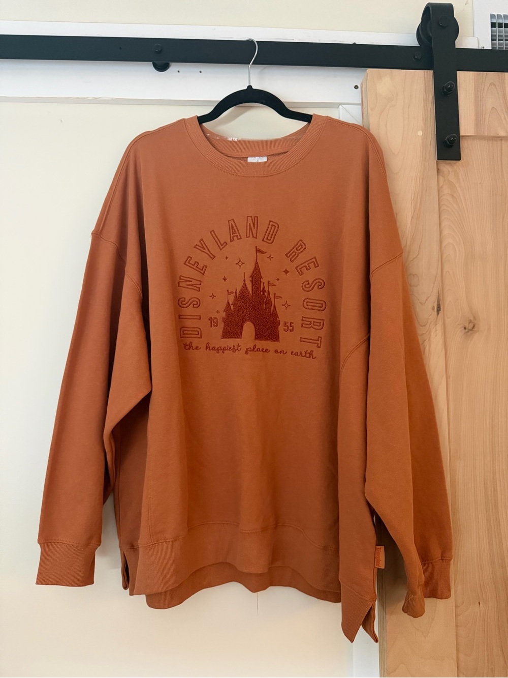 Disney Rust Orange Crewneck Sweatshirt